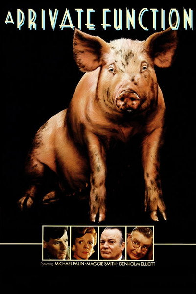 Póster de Funció privada