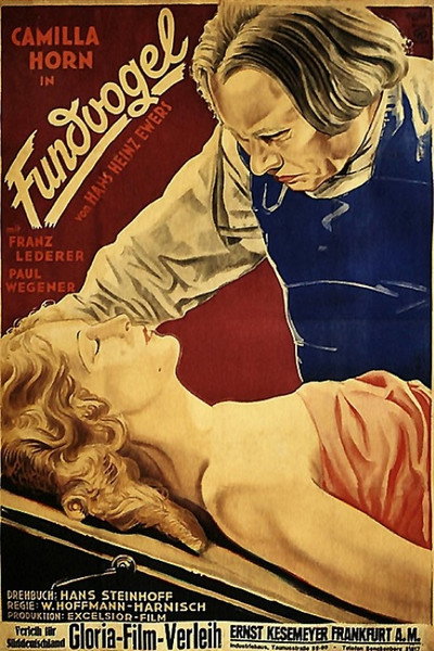 Póster de Fundvogel