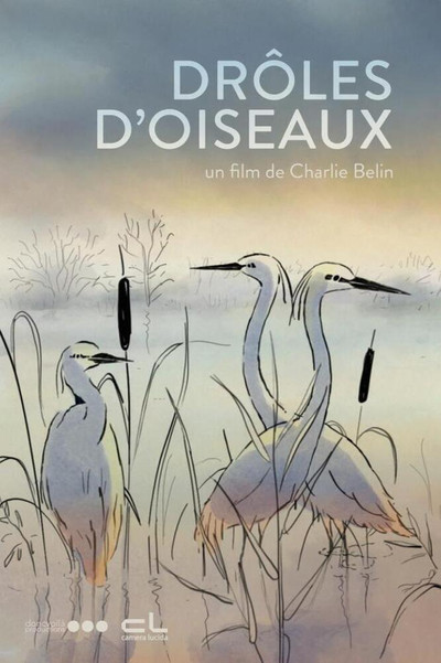 Póster de Funny Birds