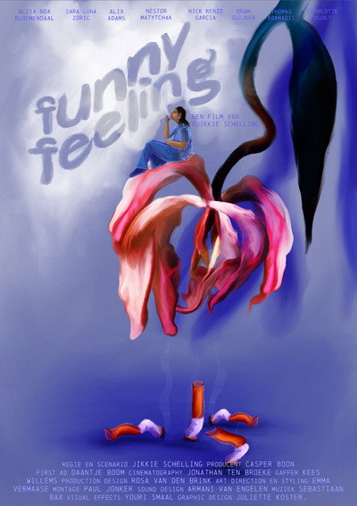 Póster de Funny Feeling