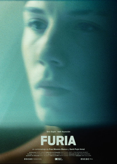 Póster de Furia