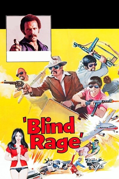 Póster de Furia ciega