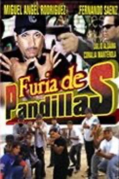 Póster de Furia de pandilleros