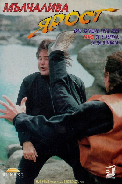 Póster de Furia silenciosa