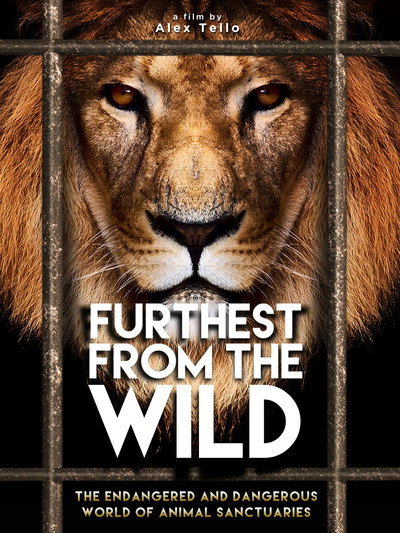 Póster de Furthest from the Wild