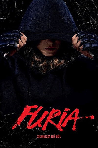 Póster de Fury