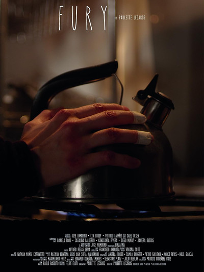 Póster de Fury