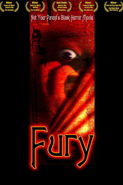 Póster de Fury