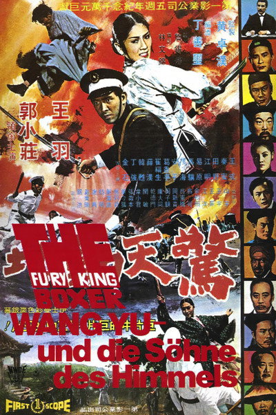 Póster de Fury of King Boxer