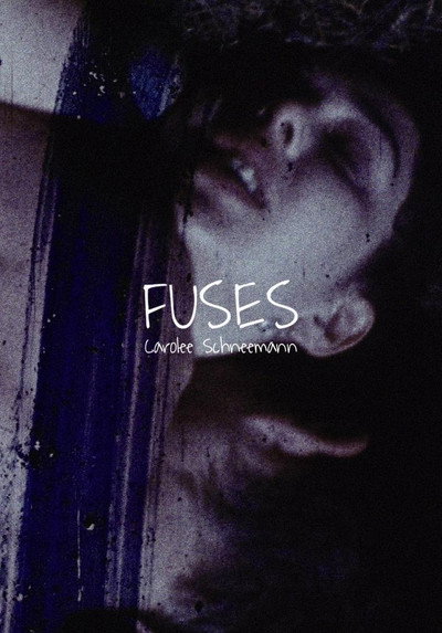 Póster de Fuses