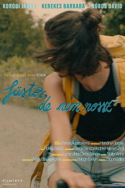 Póster de Füstös, de nem rossz
