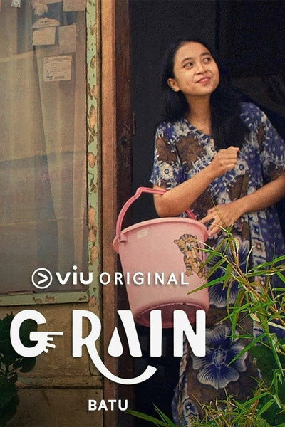 Póster de G-Rain
