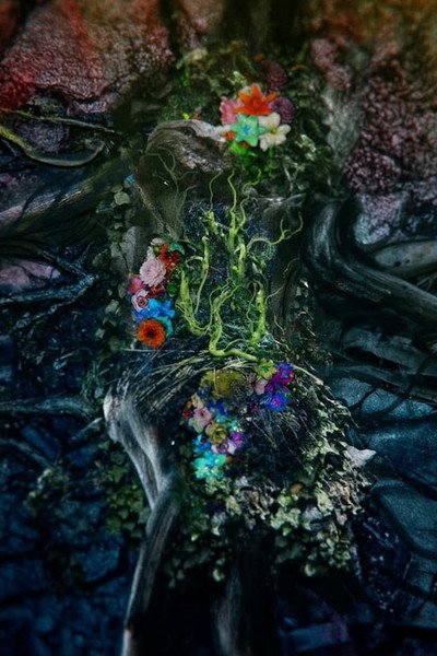 Póster de Gaia