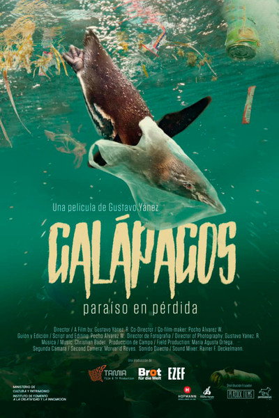 Póster de Galapagos Losing Paradise