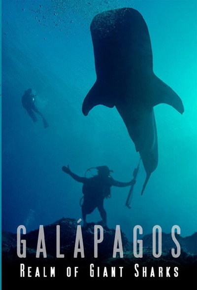 Póster de Galapagos: Realm of Giant Sharks