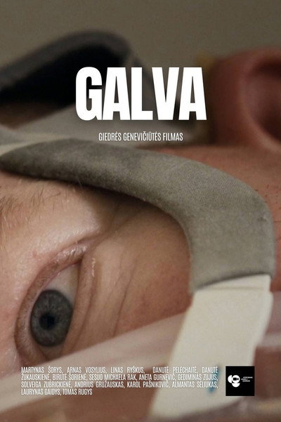 Póster de Galva