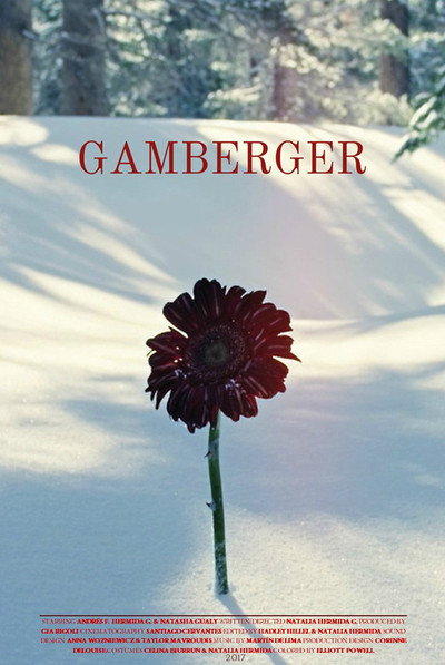 Póster de Gamberger