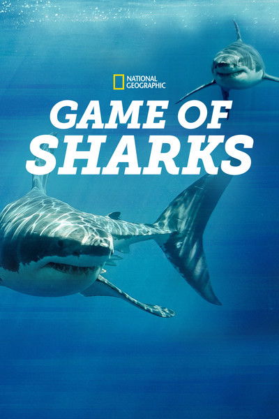 Póster de Game of Sharks
