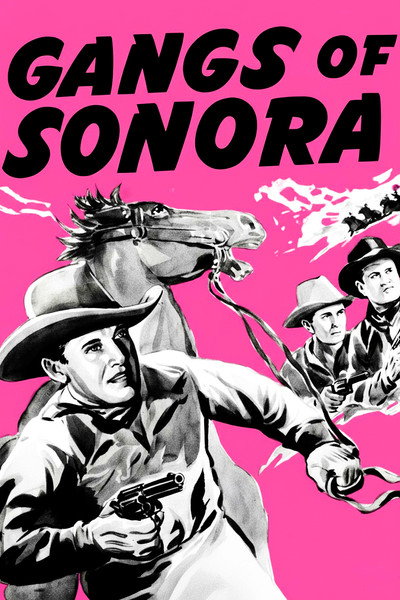 Póster de Gangs of Sonora