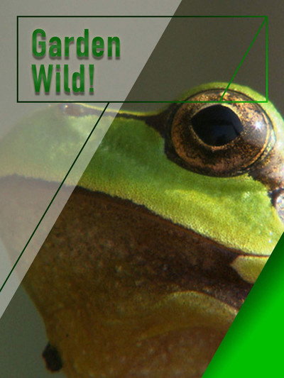 Póster de Garden Wild!