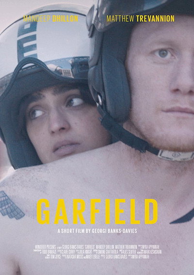 Póster de Garfield