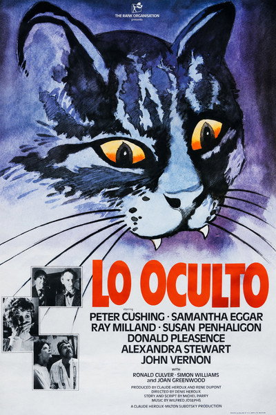 Póster de Garra negra