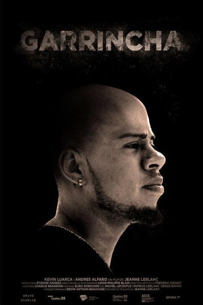Póster de Garrincha