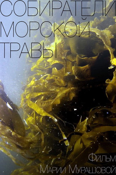 Póster de Gatherers of Sea Grass