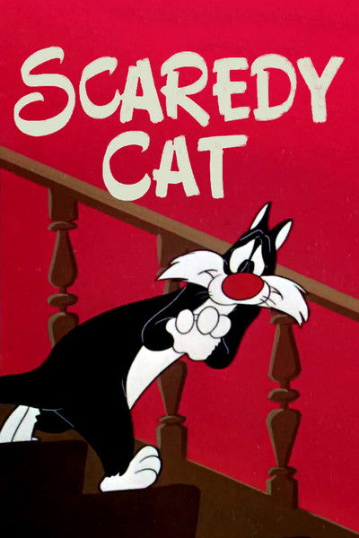Póster de Gato miedoso