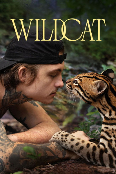 Póster de Gato salvaje