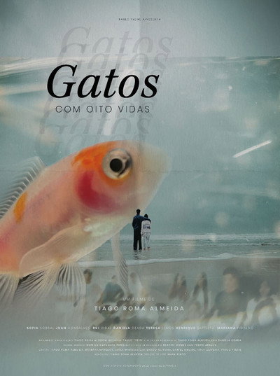 Póster de Gatos Com Oito Vidas
