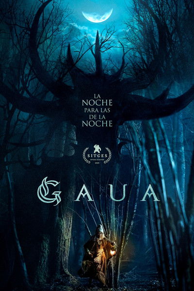Póster de Gaua