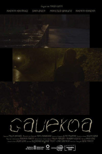 Póster de Gauekoa