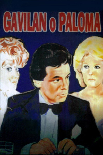 Póster de Gavilán o paloma
