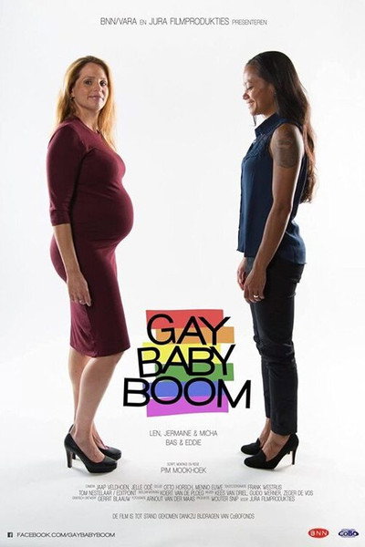 Póster de Gay Babyboom
