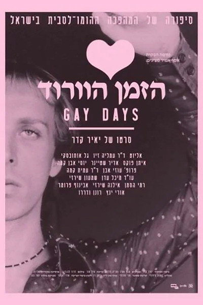 Póster de Gay Days