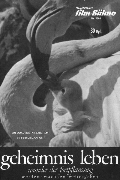 Póster de Geheimnis Leben