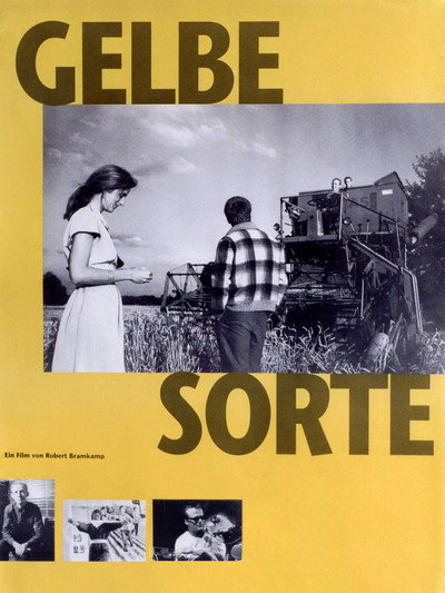 Póster de Gelbe Sorte