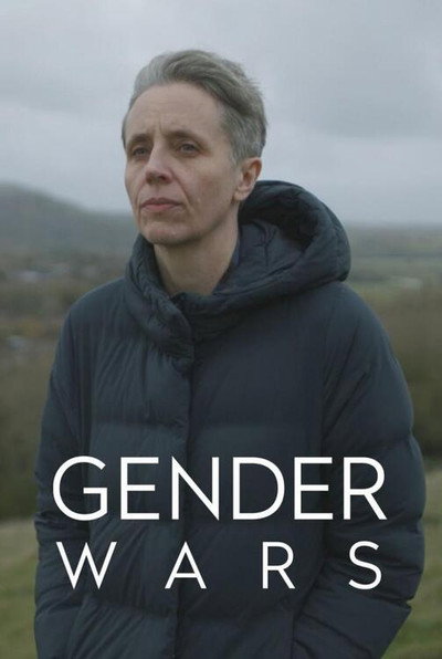 Póster de Gender Wars