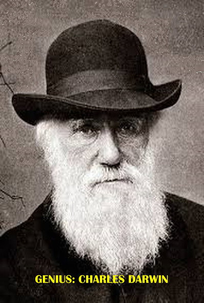 Póster de Genius: Charles Darwin