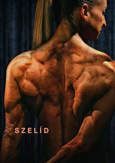Póster de Gentle