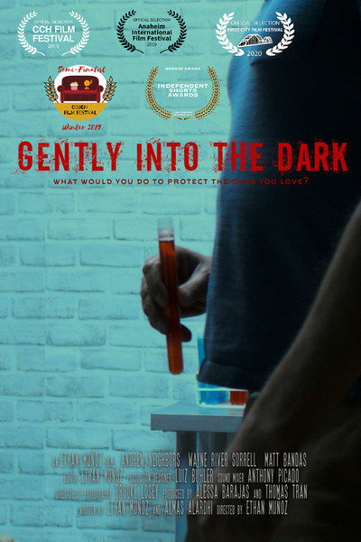 Póster de Gently Into the Dark