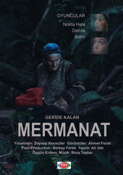 Póster de Geride Kalan Mermanat
