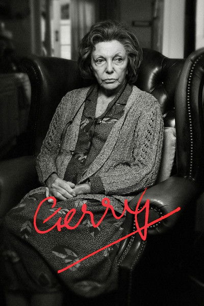 Póster de Gerry