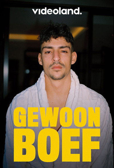 Póster de Gewoon Boef