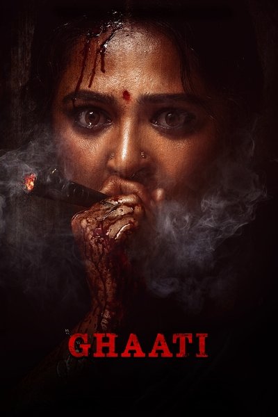 Póster de Ghaati