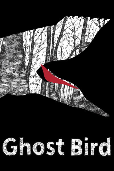 Póster de Ghost Bird
