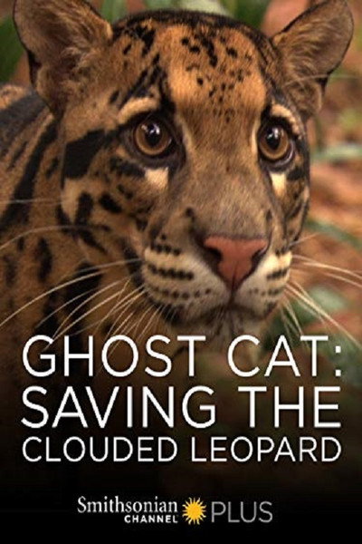 Póster de Ghost Cat: Saving the Clouded Leopard