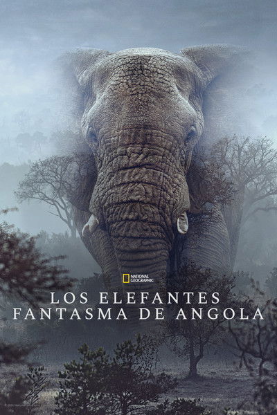 Póster de Ghost Elephants