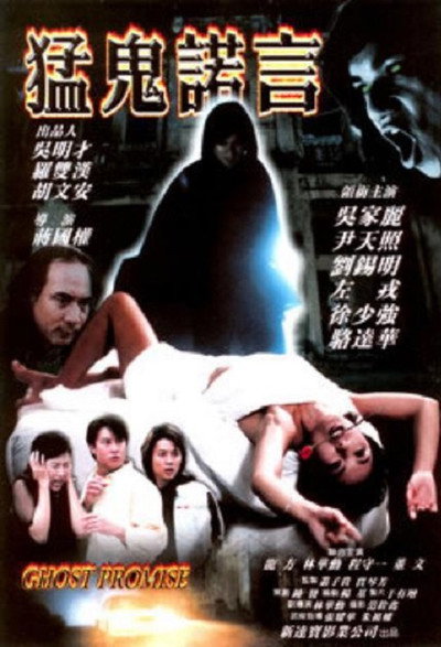 Póster de Ghost Promise